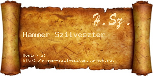 Hammer Szilveszter névjegykártya