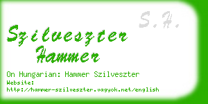 szilveszter hammer business card